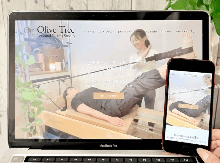 Olive Treeの画像