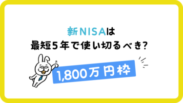 【新NISA】1800万円を5年で使い切るべき？メリット・デメリットを検証